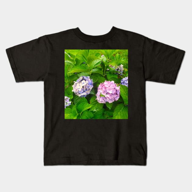 Hydrangeas Kids T-Shirt by etherealwonders